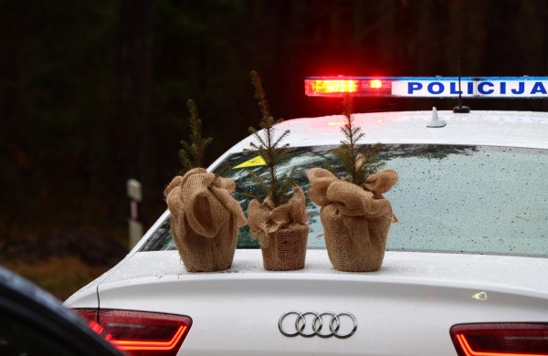 Akcija „Eglutė“ – miškininkai ir policijos pareigūnai vairuotojams dovanos kalėdinius medelius