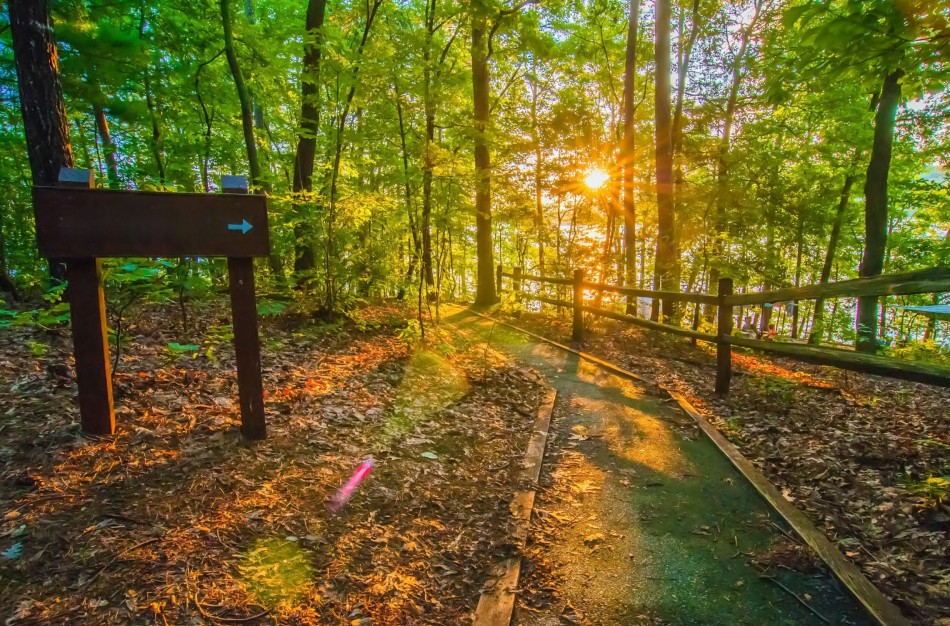 Naujas žingsnis gamtos išsaugojimui: saugomų teritorijų plėtra ir ekosistemų atkūrimas