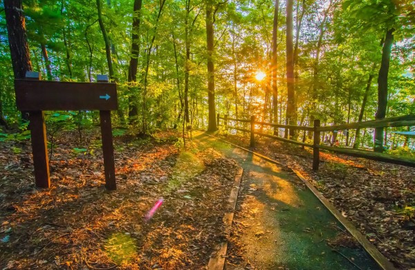 Naujas žingsnis gamtos išsaugojimui: saugomų teritorijų plėtra ir ekosistemų atkūrimas