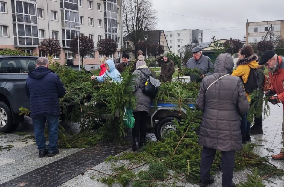 Miškas atkeliauja į miestų ir miestelių aikštes – vyks tradicinė VMU eglišakių dalinimo akcija