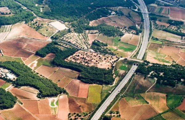 Žemės sklypų formavimas keičiasi iš esmės: kas naujo ir ką privalo žinoti visi?