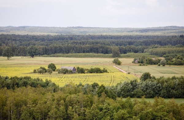 Savivaldybėms bus suteiktos platesnės valstybinės žemės administravimo funkcijos