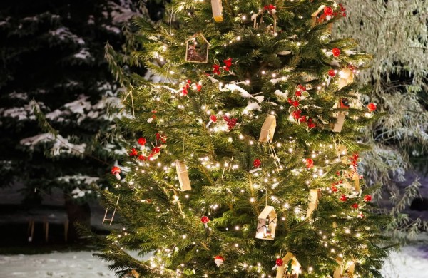 Paskelbti Kalėdinių eglučių miestelio konkurso rezultatai