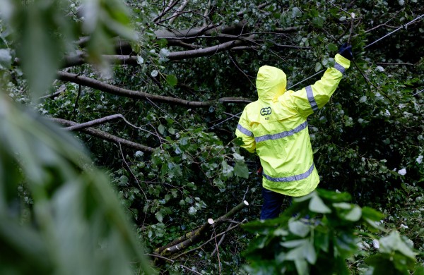 Po stipraus vėjo Jonavos rajone – ir iššūkiai, ir bendruomeniškumas