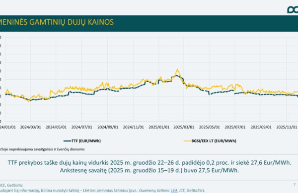 Lietuvos energetikos agentūra: Lietuvoje sumažėjo elektros, dyzelino ir benzino kainos 