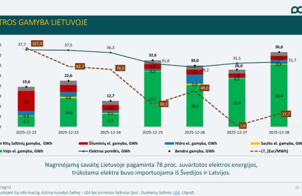 Lietuvos energetikos agentūra: Lietuvoje sumažėjo elektros, dyzelino ir benzino kainos 