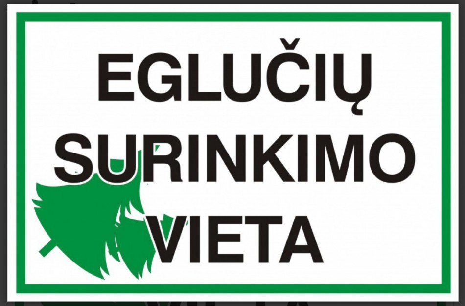 Skelbiamos eglučių ir šakų surinkimo vietos