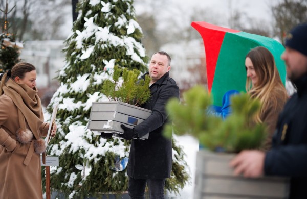 Kalėdinių eglučių miestelio kūrėjams – dovanos