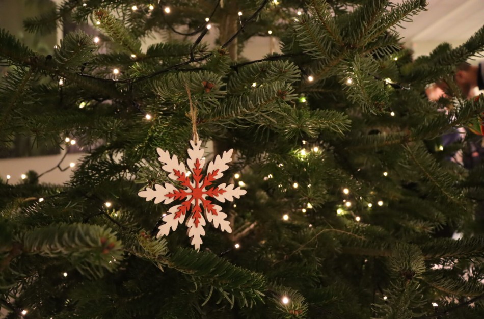 Miškininkai primena, kaip po švenčių elgtis su kalėdiniais medeliais