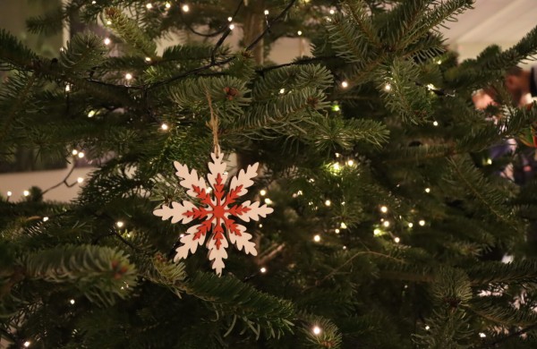 Miškininkai primena, kaip po švenčių elgtis su kalėdiniais medeliais