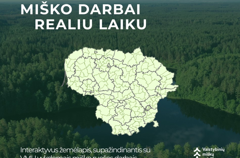 Miško ruošos darbai – viešai ir aiškiai: VMU pristato interaktyvų kirtimų žemėlapį 