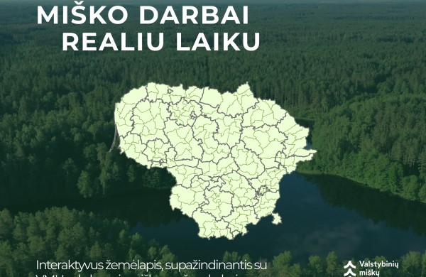 Miško ruošos darbai – viešai ir aiškiai: VMU pristato interaktyvų kirtimų žemėlapį 