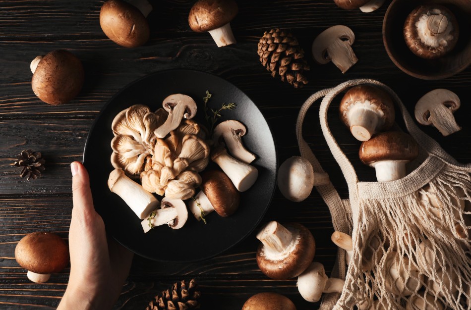 Svarbi žinia grybų augintojams – laikas suskubti