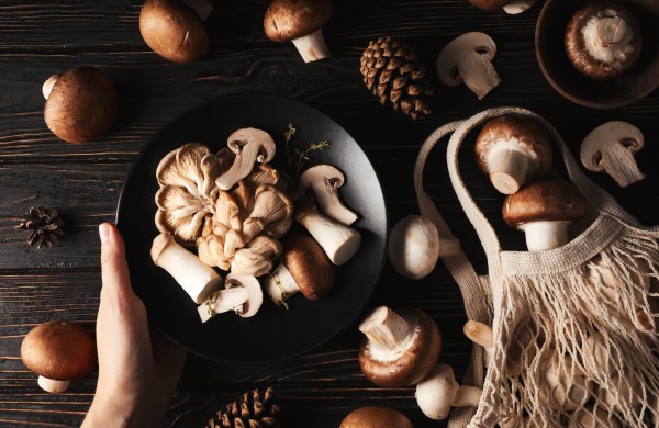 Svarbi žinia grybų augintojams – laikas suskubti