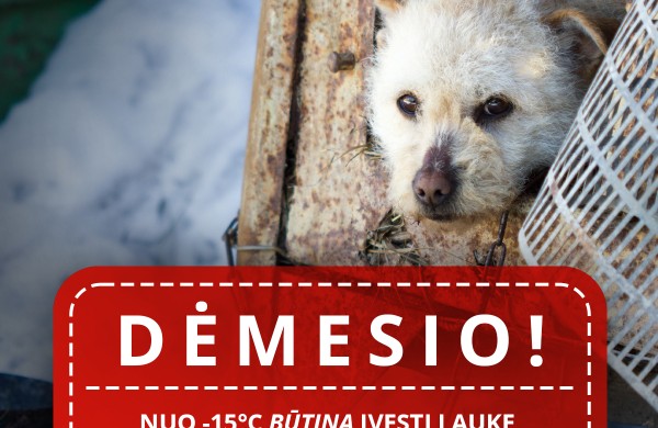 Specialistai įspėja: nuo -15°C lauke laikomus gyvūnus reikia įvesti į vidaus patalpas