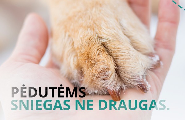 Specialistai įspėja: nuo -15°C lauke laikomus gyvūnus reikia įvesti į vidaus patalpas