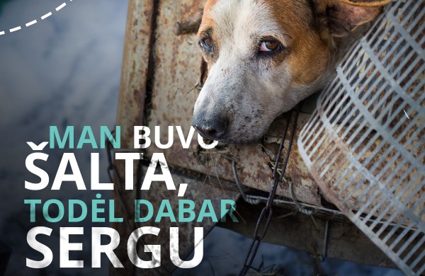 Specialistai įspėja: nuo -15°C lauke laikomus gyvūnus reikia įvesti į vidaus patalpas