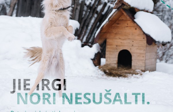 Specialistai įspėja: nuo -15°C lauke laikomus gyvūnus reikia įvesti į vidaus patalpas