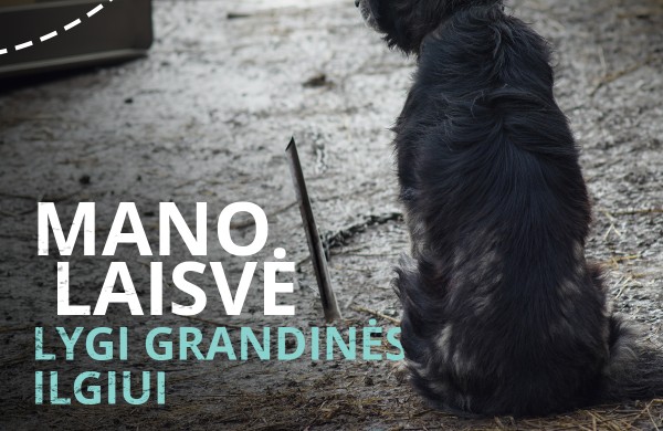 Specialistai įspėja: nuo -15°C lauke laikomus gyvūnus reikia įvesti į vidaus patalpas