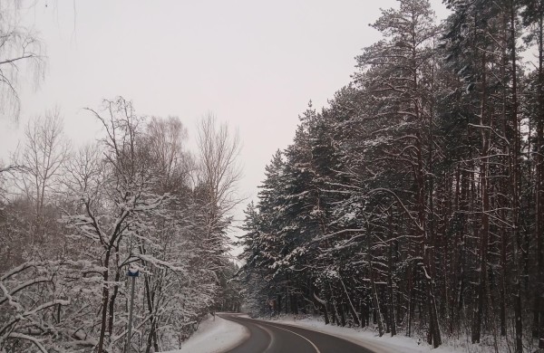 Kas prižiūri Šveicarijos aplinkkelį? Gyventojų skundas ir institucijų paaiškinimai